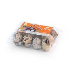 تلاونگ تخم بلدرچین 12عددی